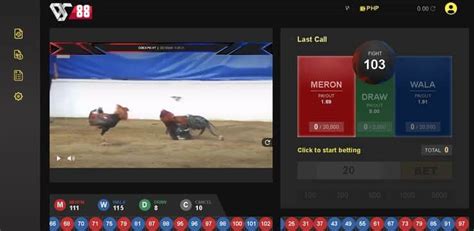 online sabong cup betting